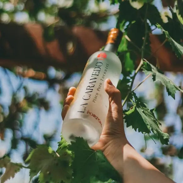 Pisco La Caravedo 